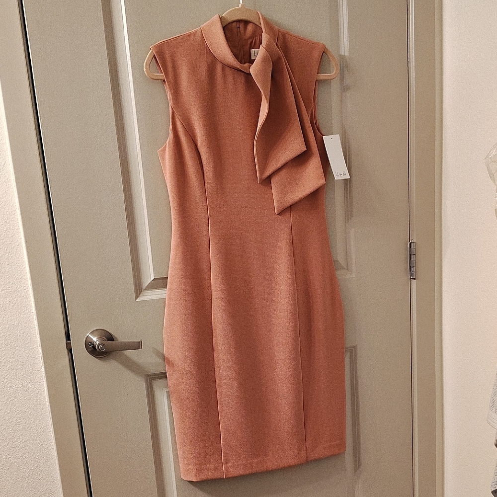 Sophisticated Sleeveless Rose Colored Dress